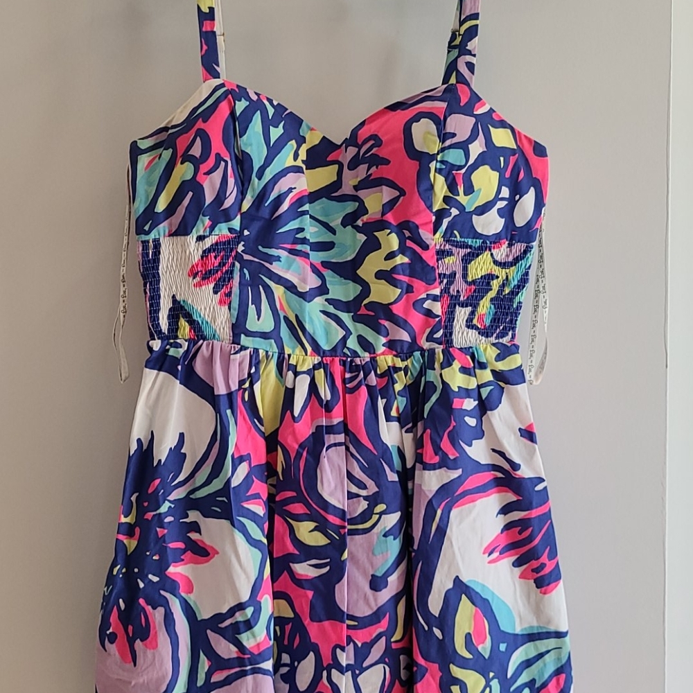 Lily Pulitzer Size 4 multicolor dress
